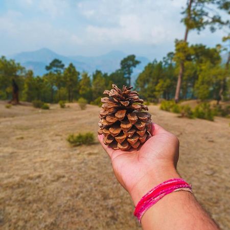 Vila Livingstone, Chail Exteriér fotografie